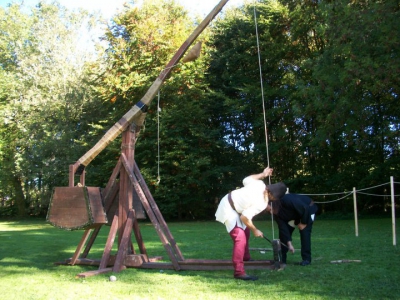 2010 (11)