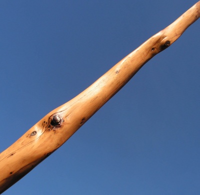yew longbow 50#@28'' if
