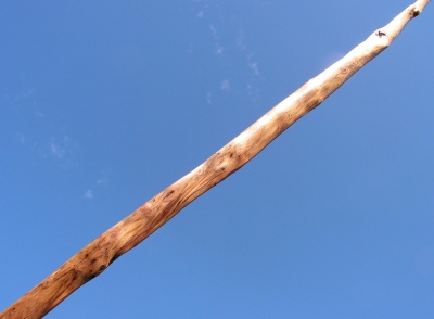 yew longbow 50#@28'' if