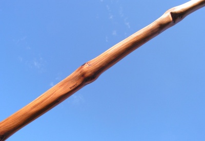 yew longbow 50#@28'' if