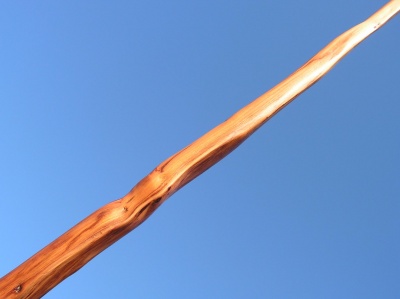 yew longbow 50#@28'' if