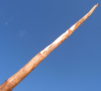 yew longbow 50#@28'' if