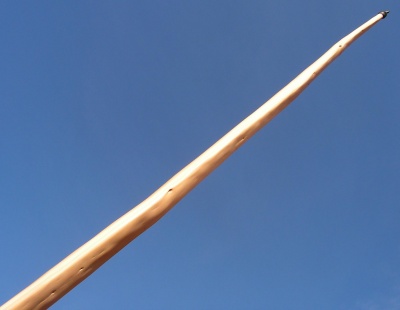 Yew longbow 45#@28'' If