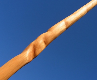 Maple longbow 70#@28'' Erable