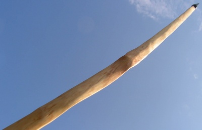 Maple longbow 70#@28'' Erable