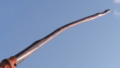 Ash longbow 50#@28'' Frêne