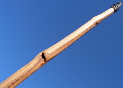 Yew longbow 45#@28'' If