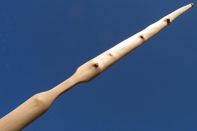 Ash flatbow 50#@28&#039;&#039; Frêne