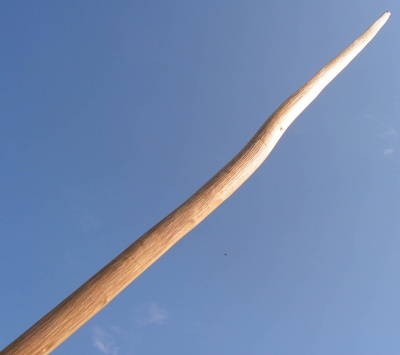 hazel longbow 60#@28'' Noisetier