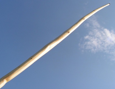Black locust longbow 50#@28'' Robinier (aubier)