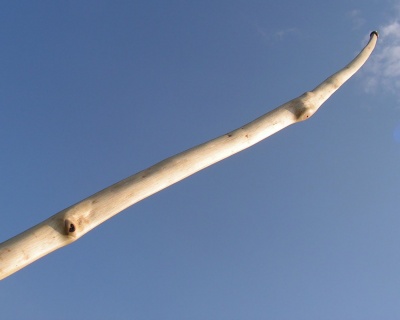 Ash longbow 45#@28'' Frêne