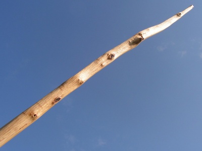 Hazel longbow 30#@28'' Noisetier