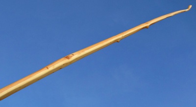 Yew Viking longbow 55#@28'' If