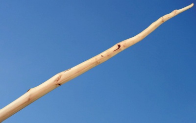 35#@28'' Cornouiller