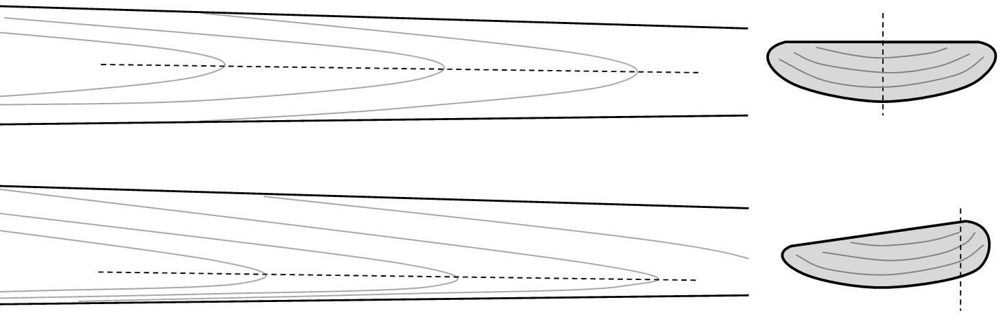 position des cernes du flatbow durant le tillering