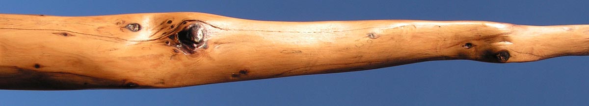 longbow avec un vernis mat